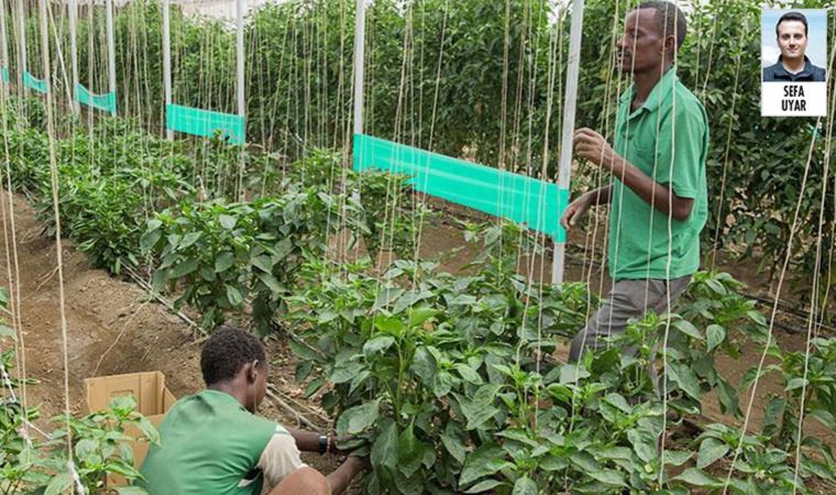 Eski Ziraat Mühendisleri Odası Başkanı Gökhan Günaydın: Sudan'daki hayali projeden vazgeçilmeli