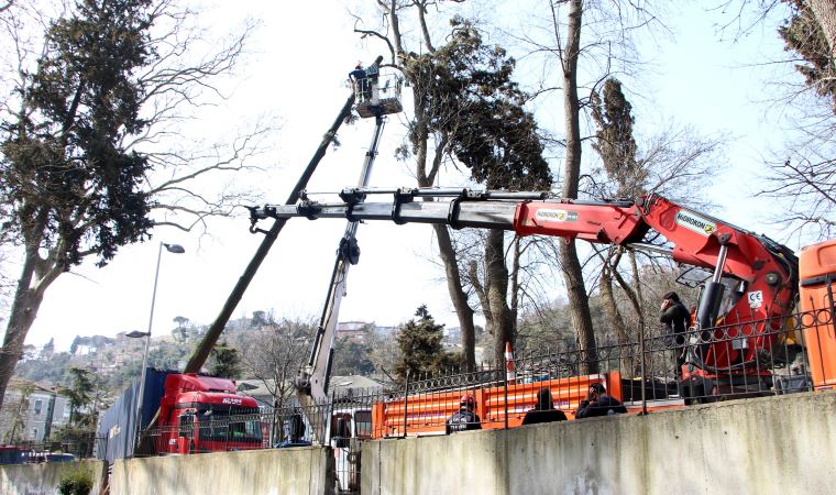 Sarıyer'de TIR ağaca çarptı; yol trafiğe kapandı