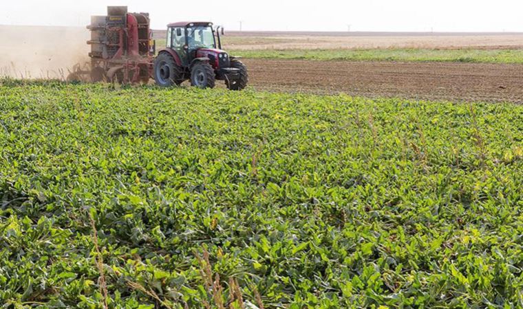 Tarım arazileri için hibe programı açıklandı