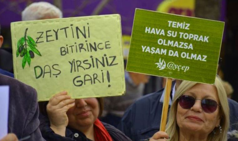 'Zeytinlikleri ve geleceği yok etmeyin'