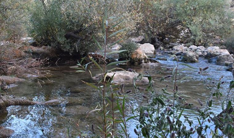 Mahkeme, Zorava Çayı HES projesini iptal etti