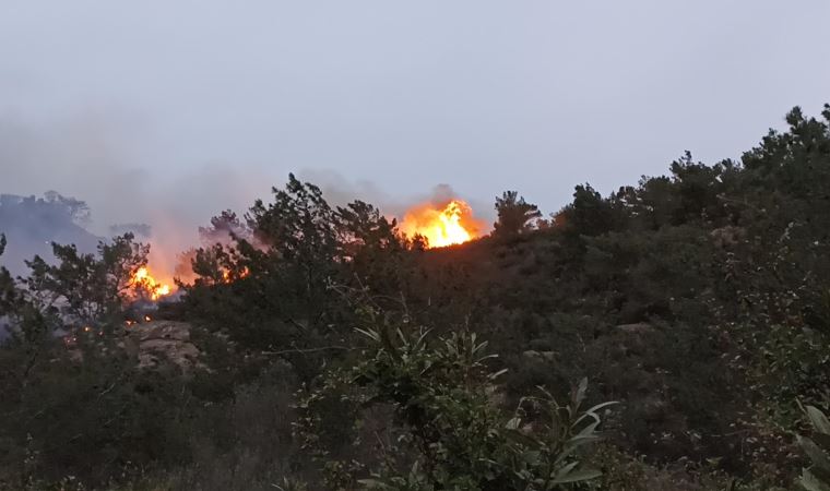 Bodrum'da orman ve makilik yangını (17 Nisan 2022)