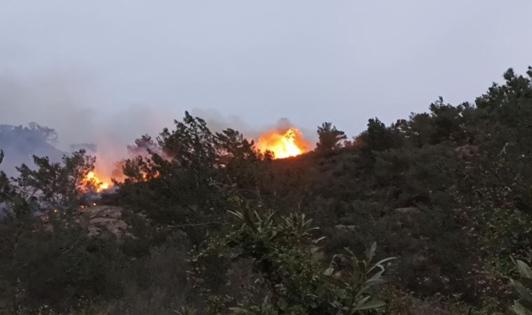 Ahmet Aras'tan Bodrum'daki yangına ilişkin açıklama