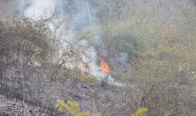 Sinop'taki örtü yangınında 1.5 dönüm alan zarar gördü