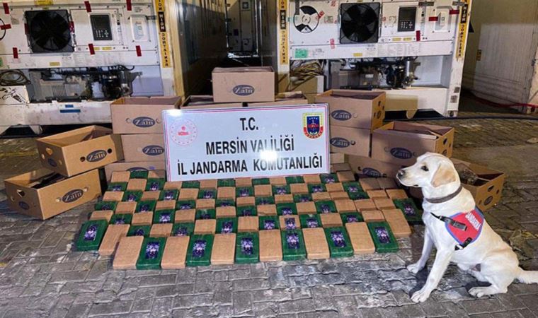 Mersin Limanı'nda kokain ele geçirilmesiyle ilgili bir zanlı tutuklandı