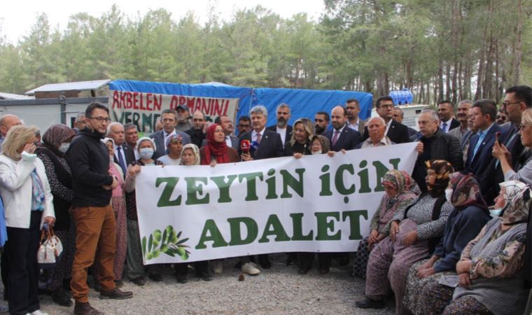 İYİ Parti İkizköy'de zeytinliklerin kesilmesini protesto etti