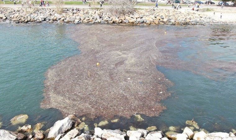 İstanbul’da korkutan görüntü