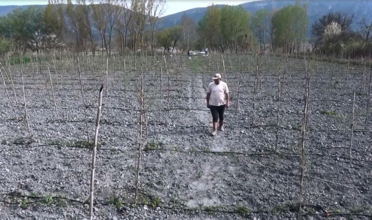 Yurt dışında gördüğü meyveyi yetiştirmeye başladı, yılda 300 bin TL kazanmayı hedefliyor