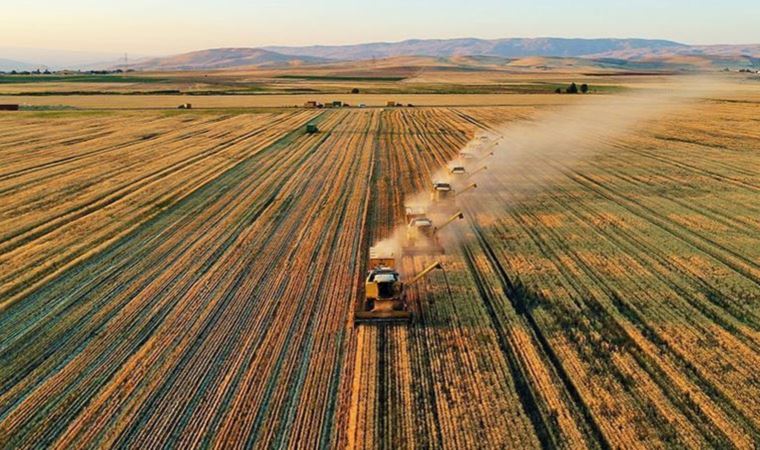 TİGEM tarım arazilerini kiraya açtı: Çiftçiye haber vermedi