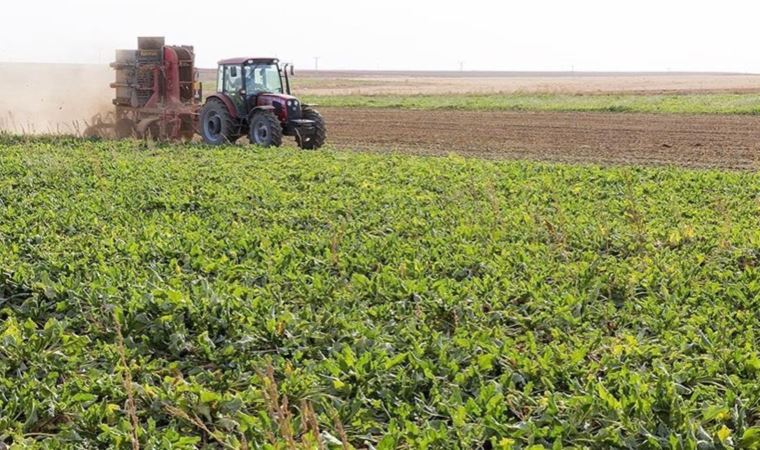 Tarımsal girdi fiyat endeksi rekor kırdı