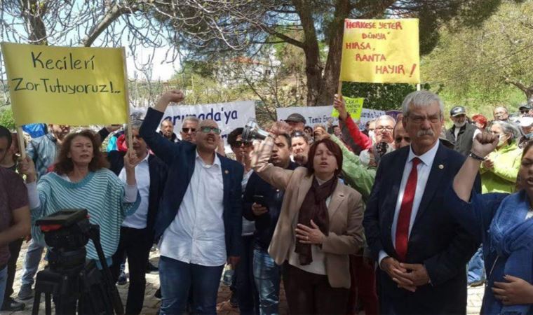 Karaburun'da GES tepkisi: Keçi peyniri yerine güneş paneli mi yiyeceğiz