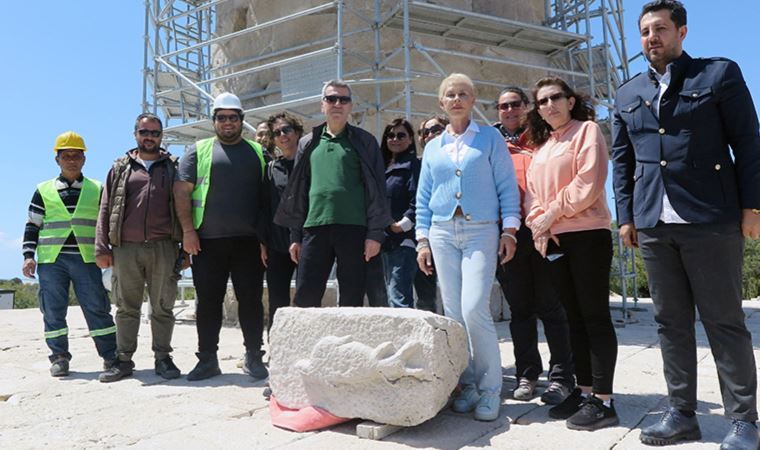 'Patara'nın yunusu', gömüldüğü yerden çıkarıldı