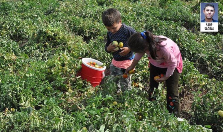 Türkiye’de bugün binlercesi bayram kutlaması yerine tarlaya, sanayiye çalışmaya gidecek