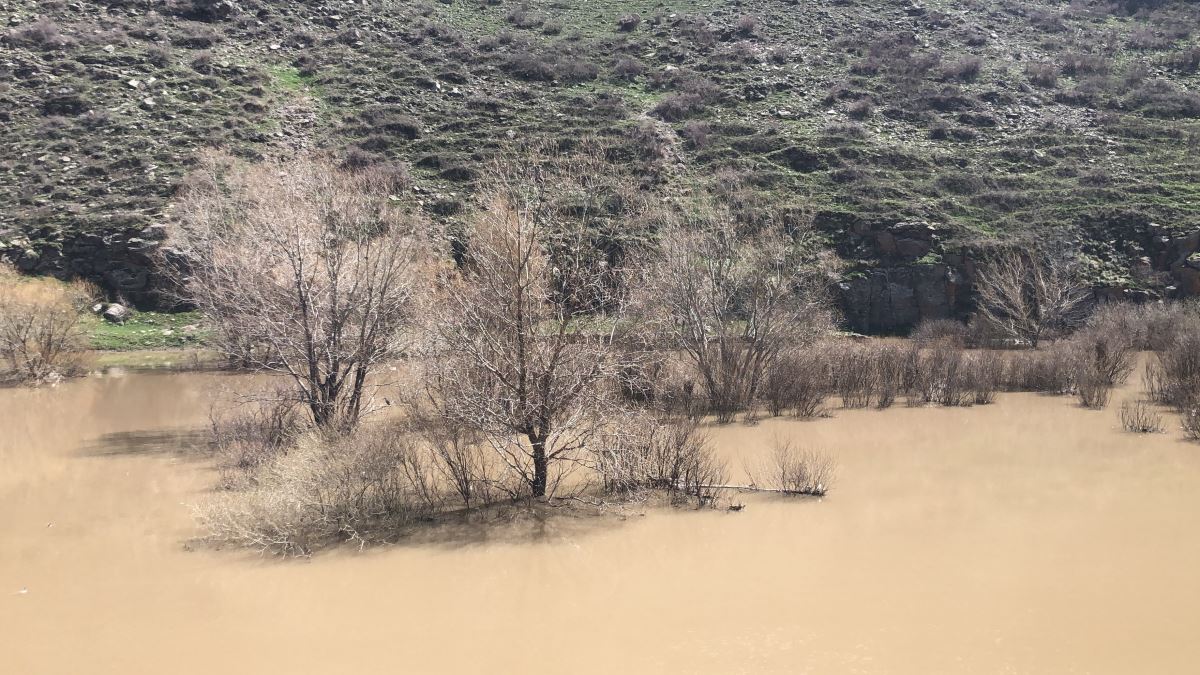 Kars’ta ağaçlar baraj suyu altında kaldı