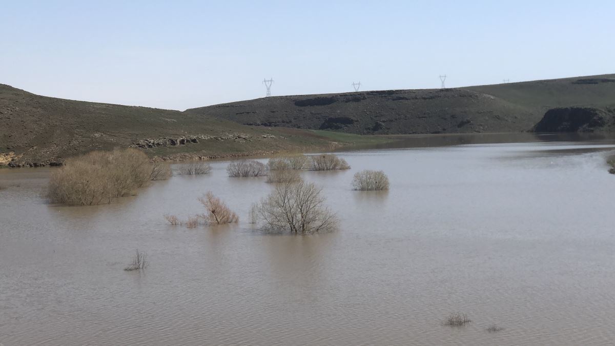 Kars’ta ağaçlar baraj suyu altında kaldı