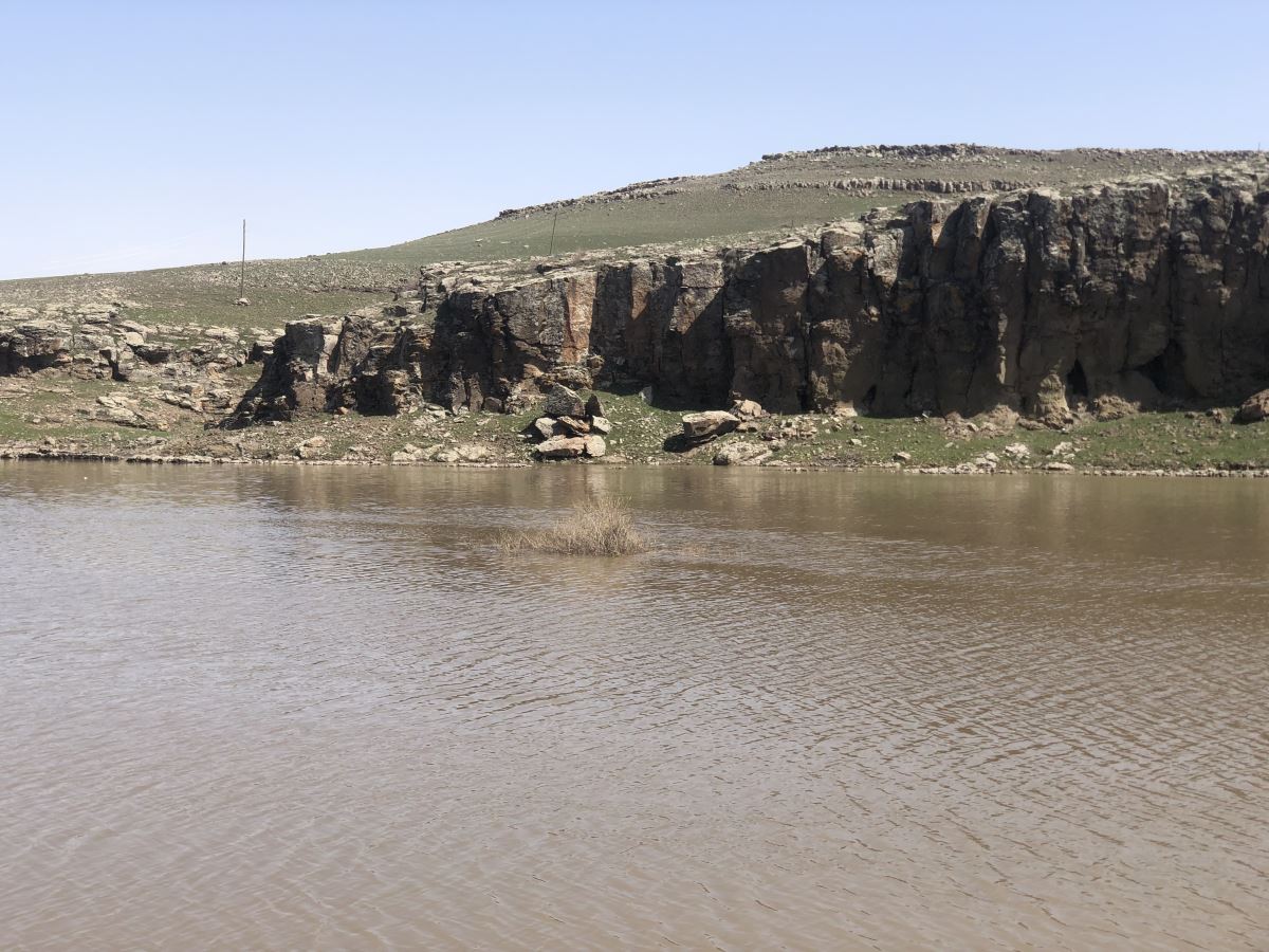 Kars’ta ağaçlar baraj suyu altında kaldı