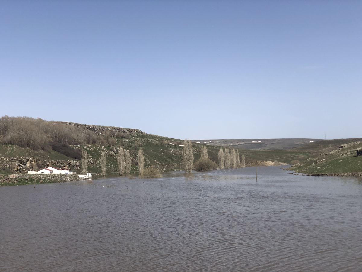 Kars’ta ağaçlar baraj suyu altında kaldı