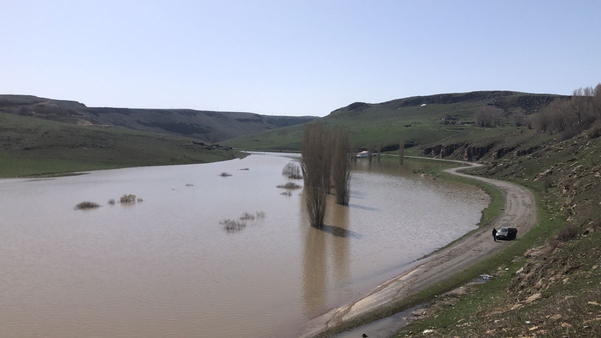 Kars’ta ağaçlar baraj suyu altında kaldı