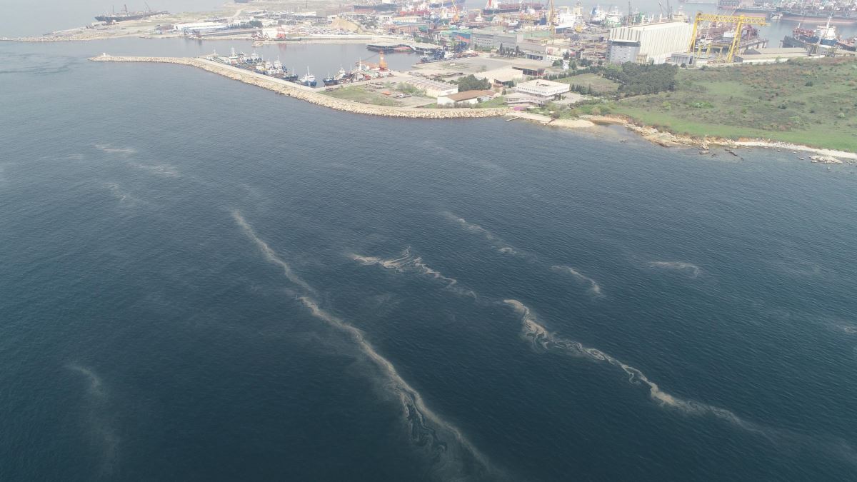 İstanbul'da korkutan görüntü: Müsilaj her geçen dakika artıyor (27 Nisan 2022)