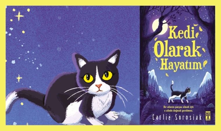 ‘Kedi Olarak Hayatım’… Emek Yurdakul’un yazısı…