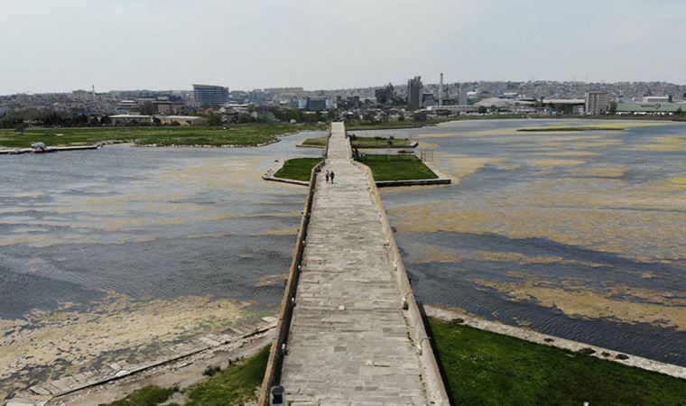 Büyükçekmece Gölü'nde yosun istilası