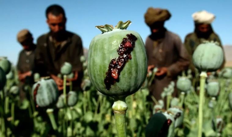 Taliban uyuşturucu ile sarhoşluk veren tüm maddelerin üretim ve tüketimini yasakladı