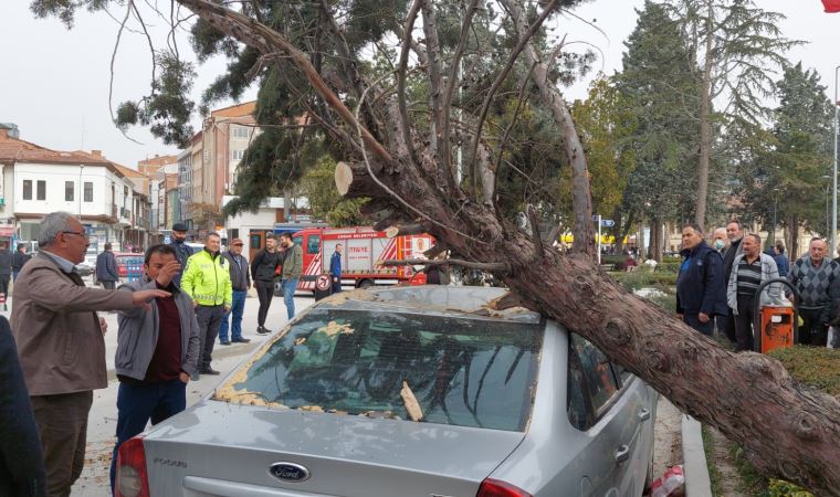 Çorum'da fırtına; devrilen ağaç otomobilin üzerine düştü