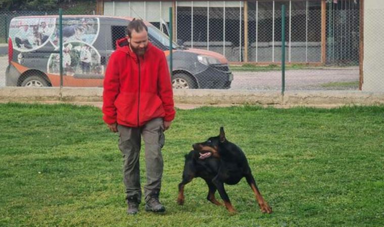 Köpek saldırısından kaçınmak için birincil kural: Kesinlikle göz teması kurmayın!