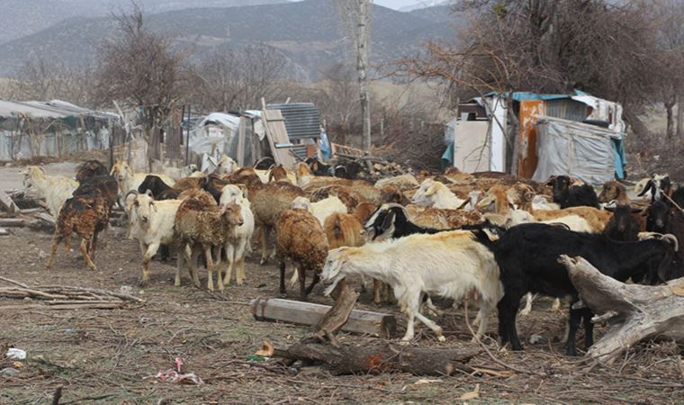 Eskişehir'de bir ilçe salgın hastalık nedeniyle karantinaya alındı