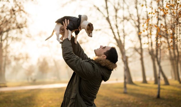 Köpek cinslerinin ortalama ömür çizelgesi çıkartıldı