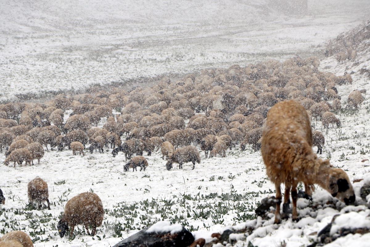 Van Bahçesaray'a mayıs ayında kar yağdı (11 Mayıs 2022)