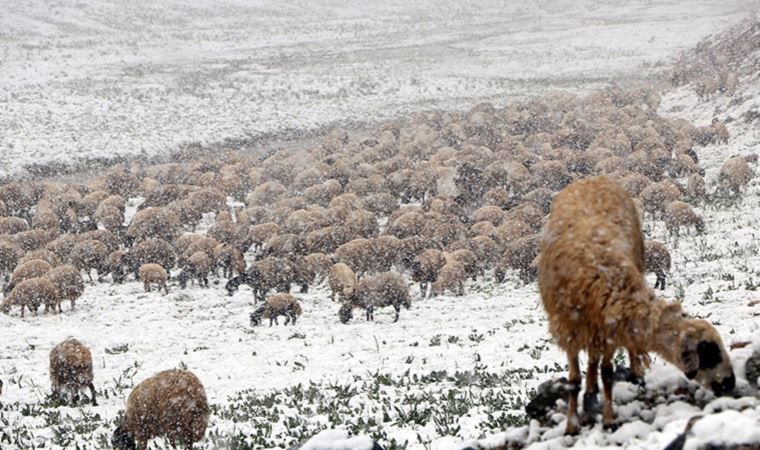 Van Bahçesaray'a mayıs ayında kar yağdı (11 Mayıs 2022)