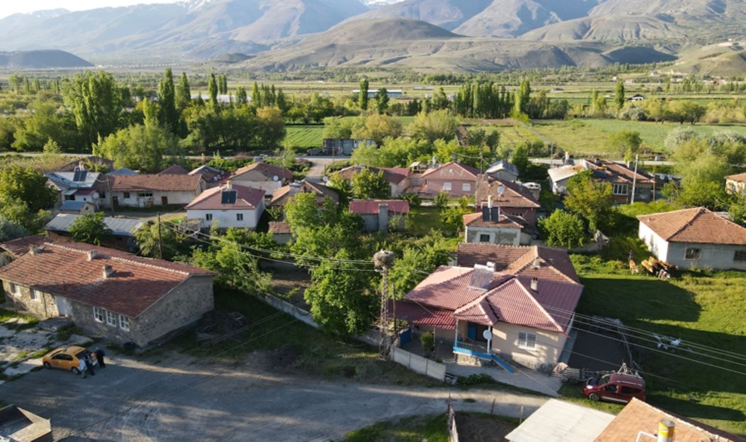 18 yıldır aynı yere yuva kuruyorlar