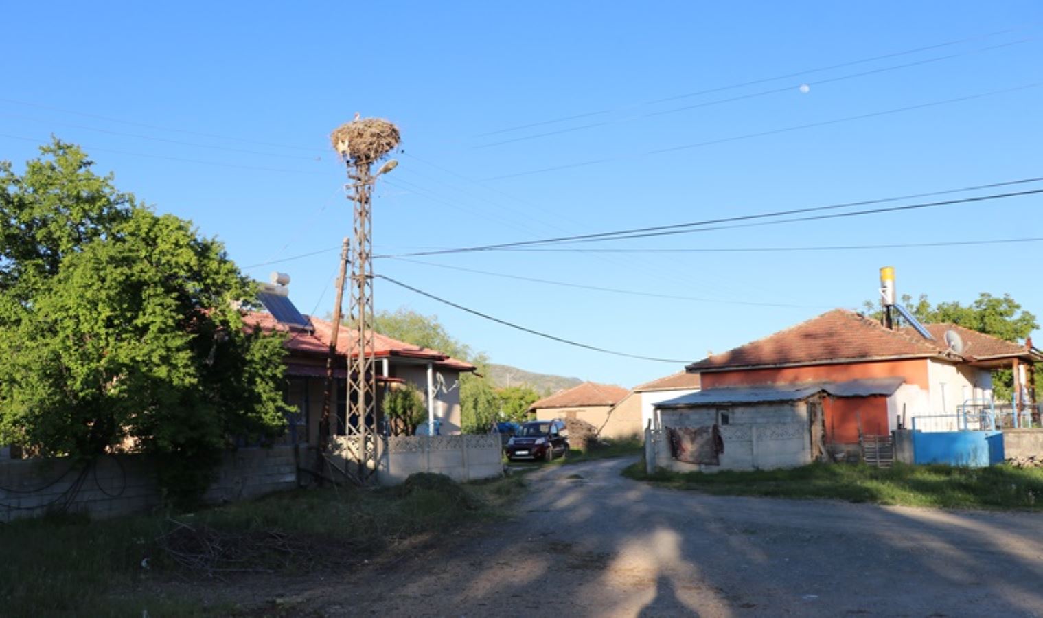 18 yıldır aynı yere yuva kuruyorlar