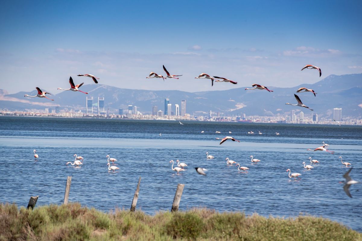 İzmir Dünya Turizm Kentleri Federasyonu’na kabul edildi