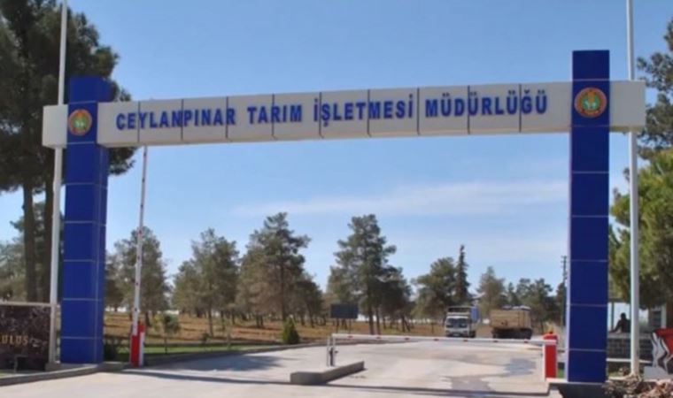 TİGEM Şanlıurfa İşletmesi'nde sendika üyesi işçilere mobbing iddiası