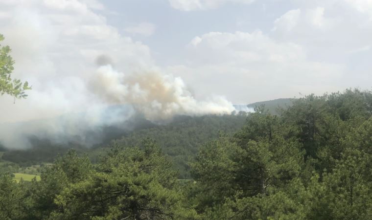 Bolu’da orman yangını