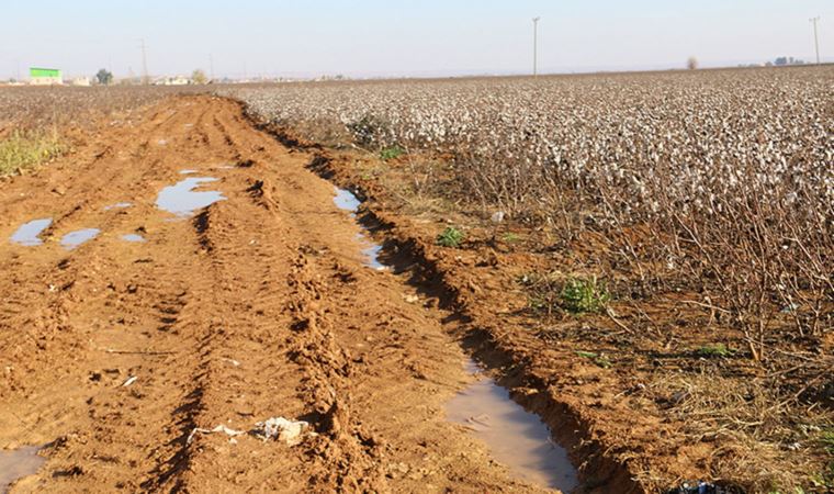 Tarlasını sulayan çiftçilere 'suyu boşa akıttın' cezası: 'Bu Türkiye'de üretim olmaz' (31 Mayıs 2022)