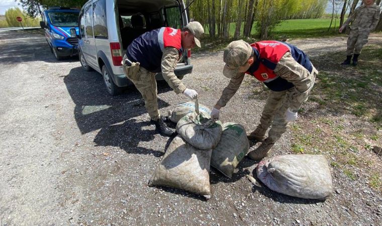 Van'da kaçak avlanan 450 kilo inci kefali ele geçirildi