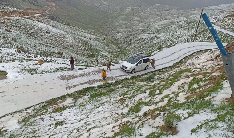 Bitki topladıkları arazide mahsur kaldılar