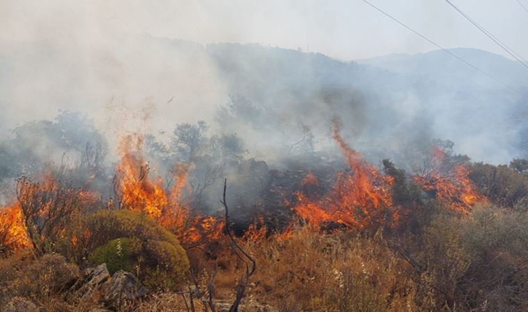 Muğla Dalaman'da orman yangını