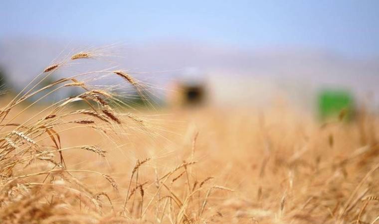 Tarım ve Orman  Bakanlığı’ndan ‘un’ açıklaması