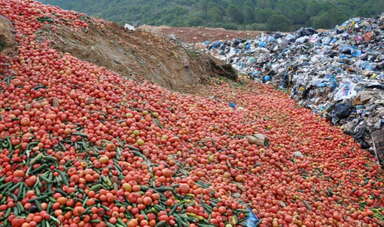 'Sofraya uygun olmadığı' söylenmişti: Çöpteki sebzelerin paylaşımına suç duyurusu