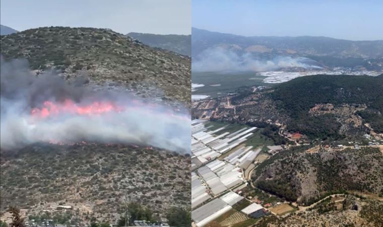 Kaş'ta makilik yangını