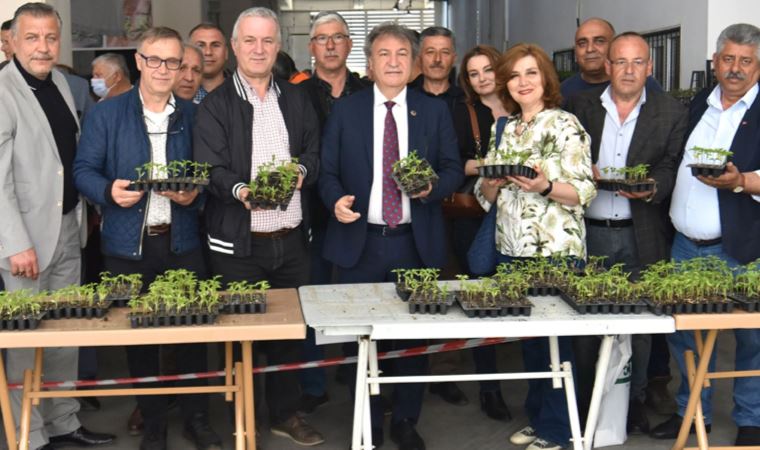 Bornova'da üretime destek: 5 milyon atalık tohum, 500 bin fide dağıtılacak