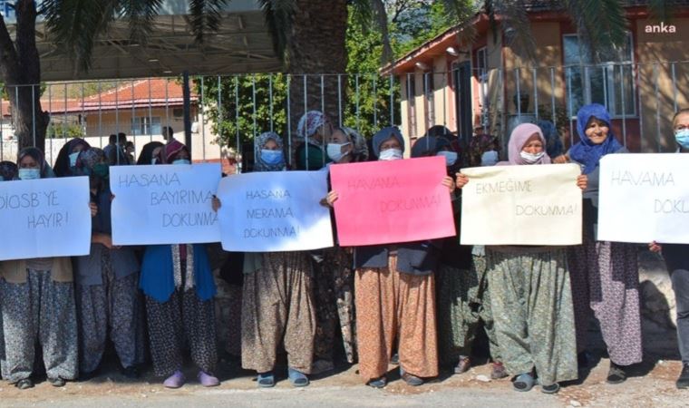 Bergama'da meraya yapılacak OSB projesine yargı 'dur' dedi