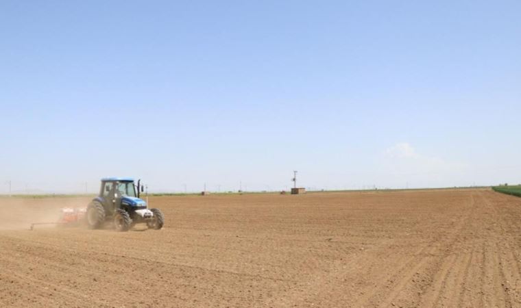 Niğde’de fasülye ve barbunya ekimi başladı