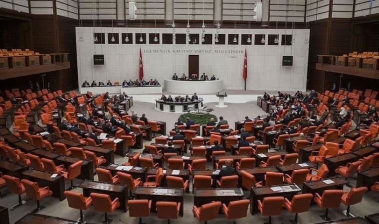 TBMM'de HDP ve MHP milletvekilleri arasında kadın cinayetleri ve istismar tartışması