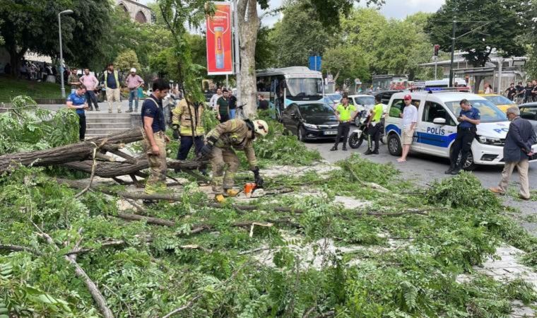 Beyoğlu’nda gövdesinden kırılan ağaç yola devrildi: 2’si turist 3 kişi yaralandı