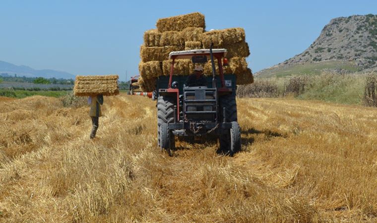 İktidar buğdaya maliyet kadar fiyat önererek üreticiyi çıkmaza soktu